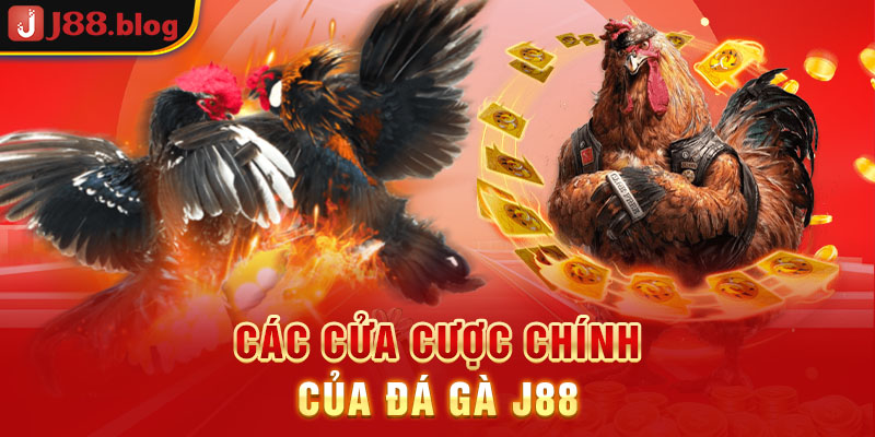 cac-cua-cuoc-chinh-cua-da-ga-j88