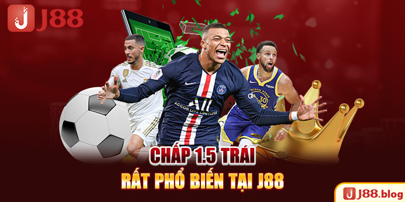 chap-1-5-trai-rat-pho-bien-tai-j88