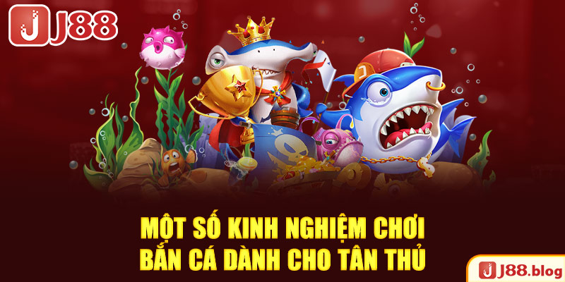 mot-so-kinh-nghiem-choi-ban-ca-danh-cho-tan-thu