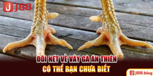 doi-net-ve-vay-ga-an-thien-co-the-ban-chua-biet