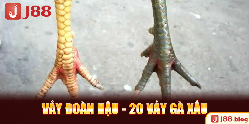 vay-doan-hau-20-vay-ga-xau