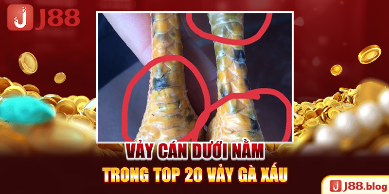 vay-can-duoi-nam-trong-top-20-vay-ga-xau