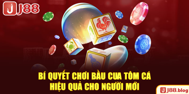 bi-quyet-choi-bau-cua-tom-ca-hieu-qua-cho-nguoi-moi